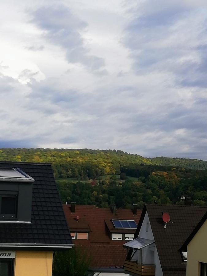 Ferienappartement Obrigheim Mosbach  Kültér fotó