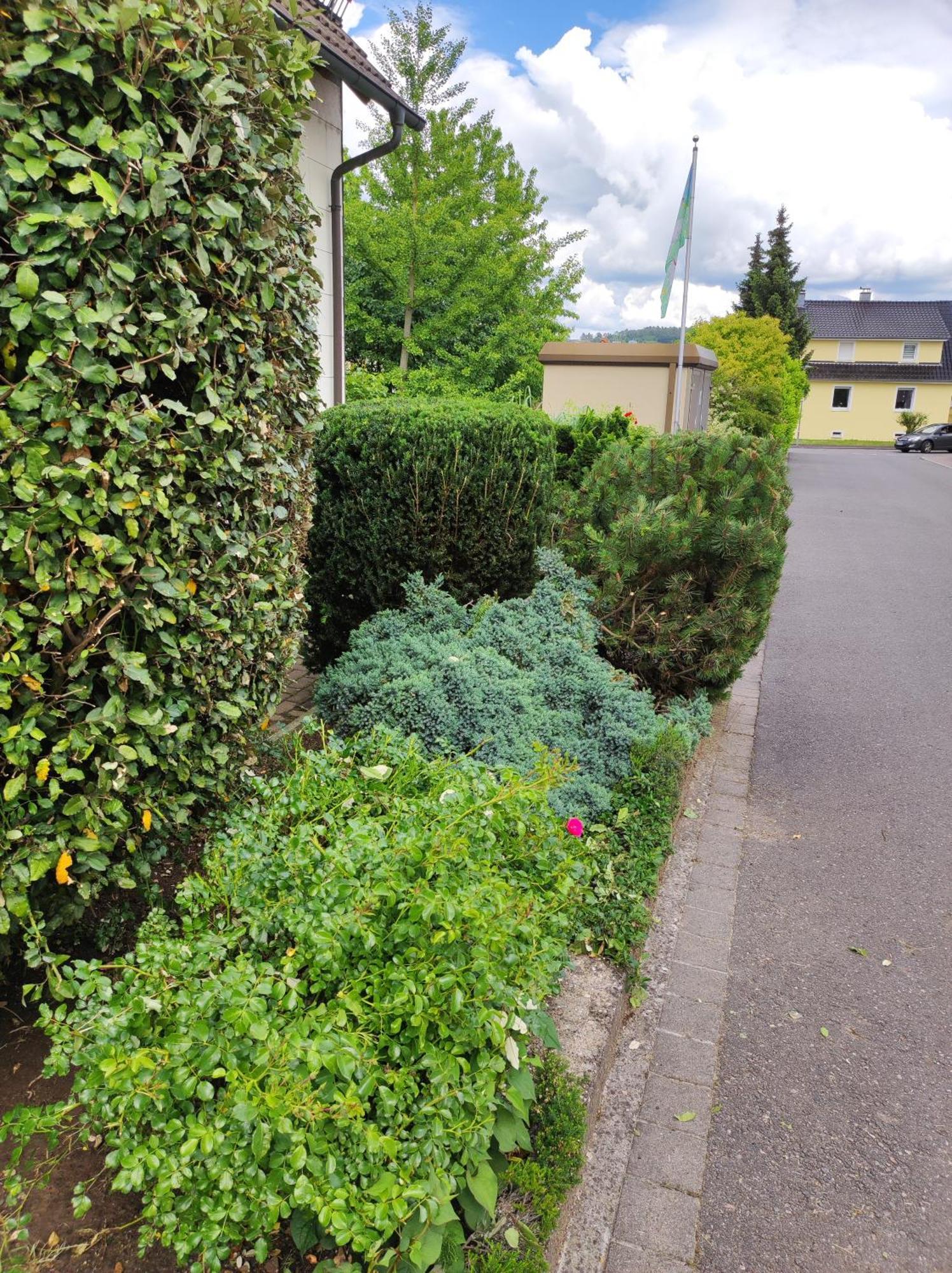 Ferienappartement Obrigheim Mosbach  Kültér fotó