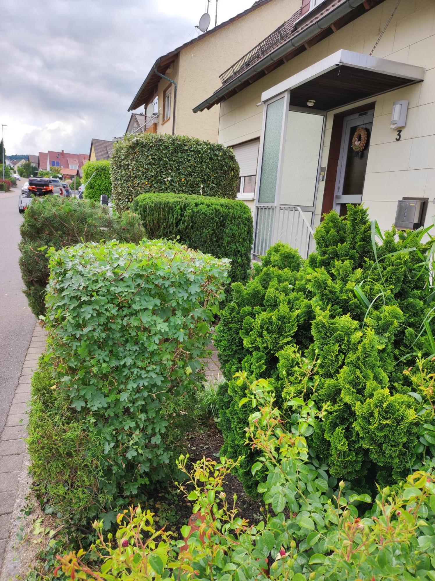 Ferienappartement Obrigheim Mosbach  Kültér fotó