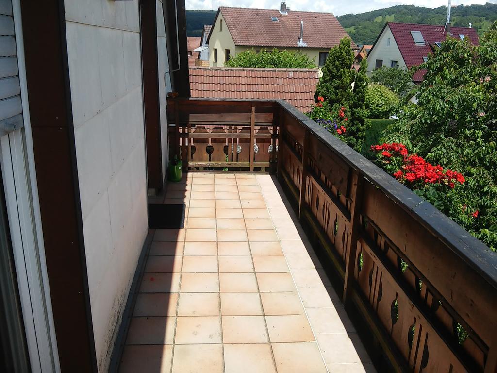 Ferienappartement Obrigheim Mosbach  Kültér fotó